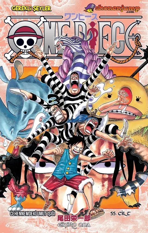 One Piece Cilt 55