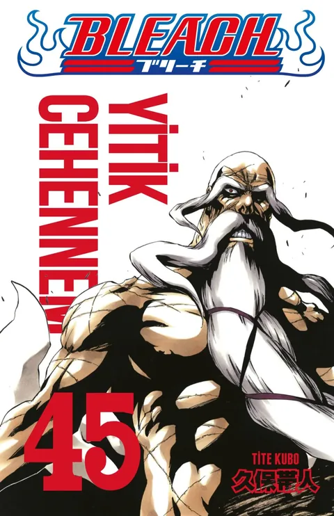 Bleach Cilt 45